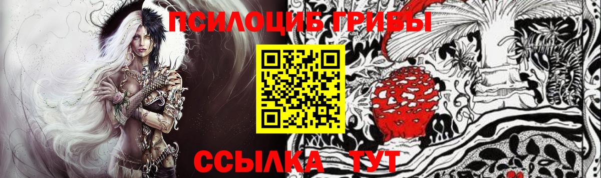 Псилоцибиновые грибы MAGIC MUSHROOMS  Вход с VPN  Псилоцибиновые грибы Psilocybine cubensis  Заволжье 
