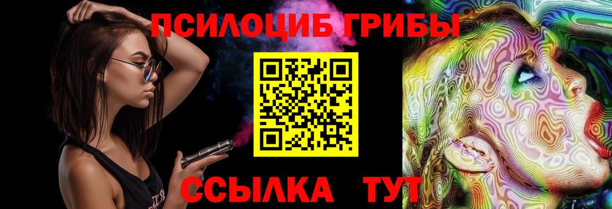 Псилоцибиновые грибы прущие грибы Заволжье